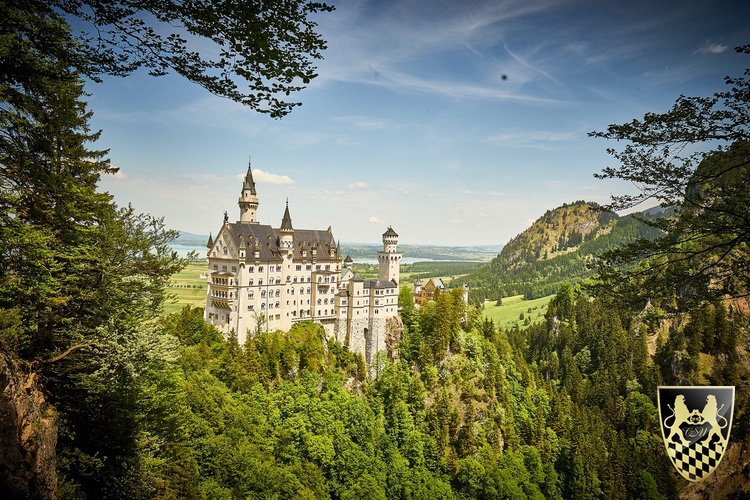 Walt Disney Castle private Tour withn driver guide