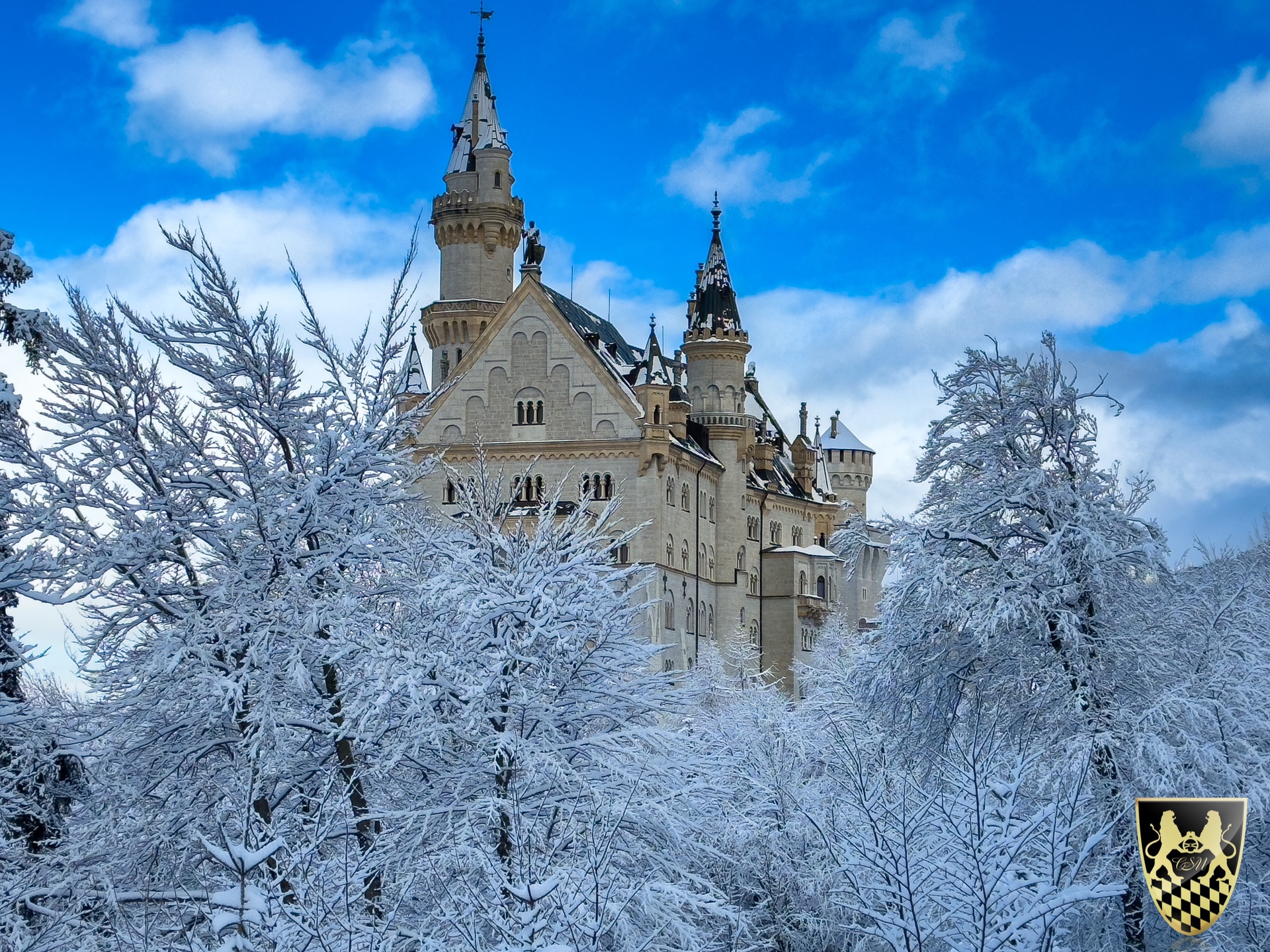 Snowy castle scene with frosty trees under a blue sky.